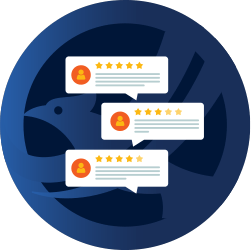 Reviews Icon